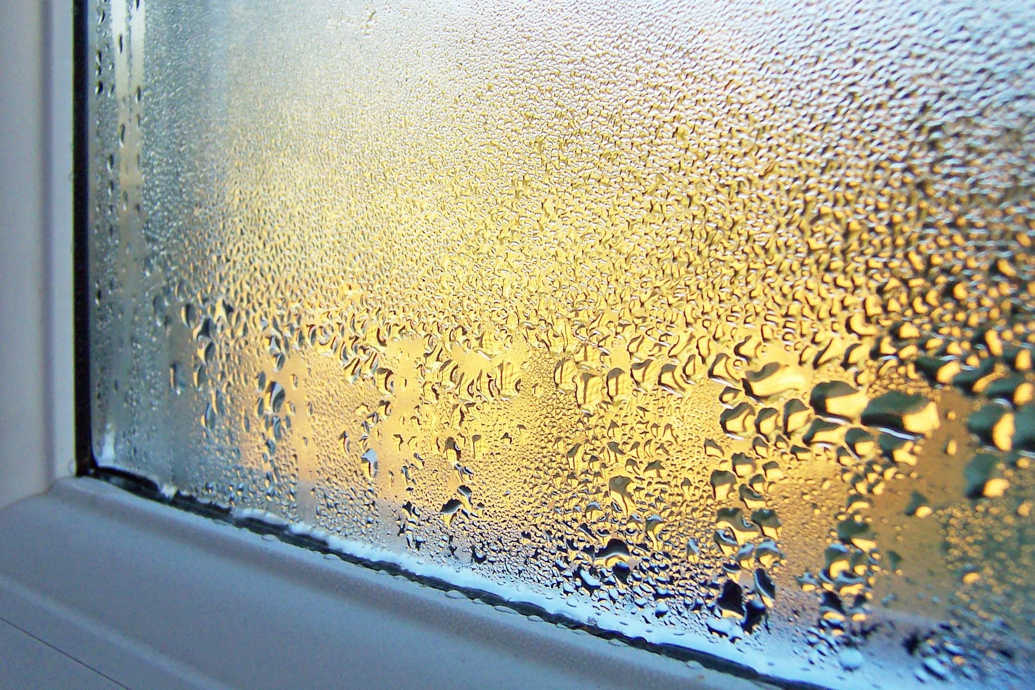 D’où provient la condensation sur la fenêtre ?